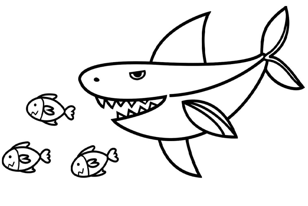 Shark Hunting Fishes