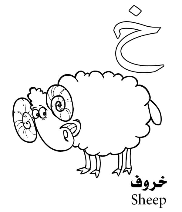 Sheep Arabic Alphabet