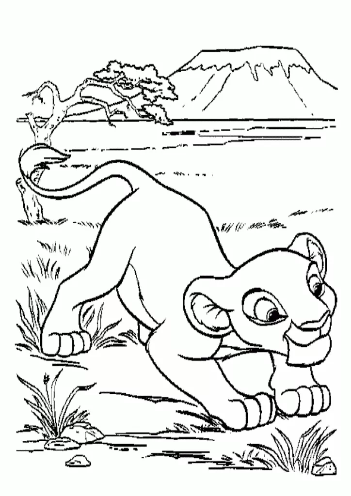Simba 5
