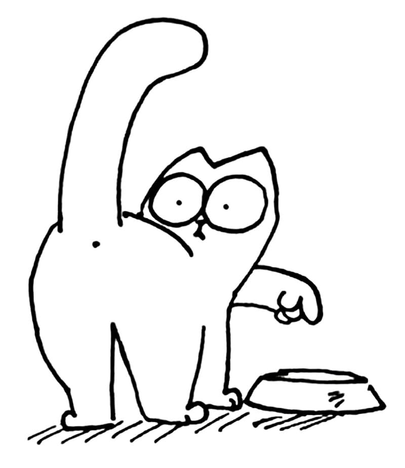 Simon’s Cat and Bowl