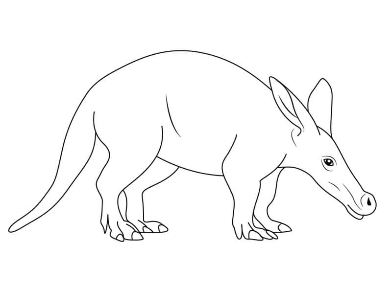 Aardvark Coloring Page - Free Printable Coloring Pages for Kids