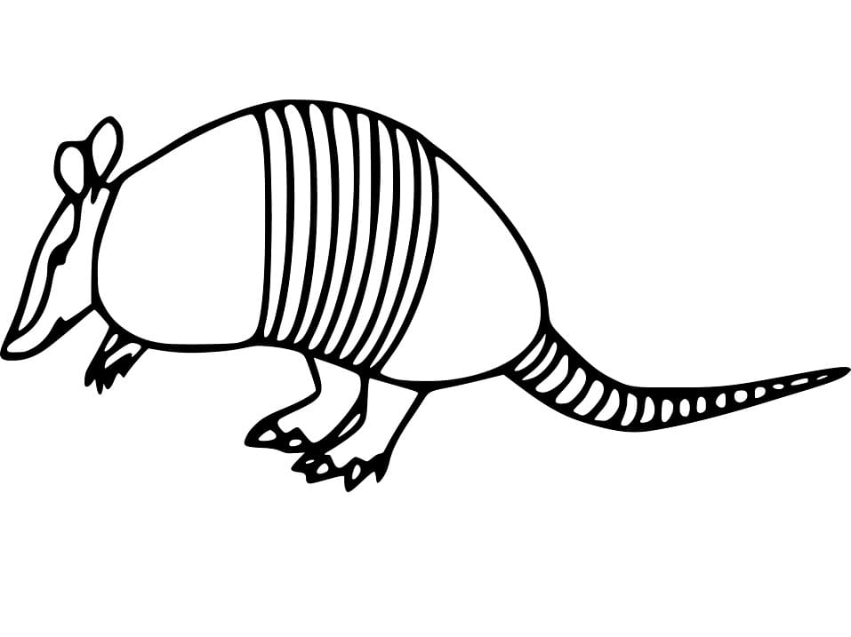 Cartoon Armadillo Coloring Page - Free Printable Coloring Pages for Kids