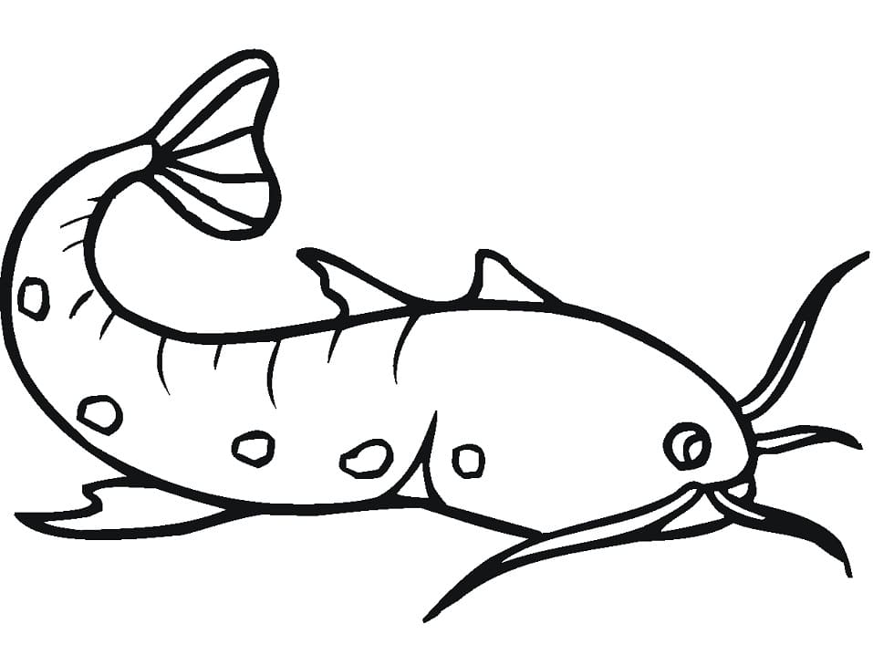 Simple Catfish