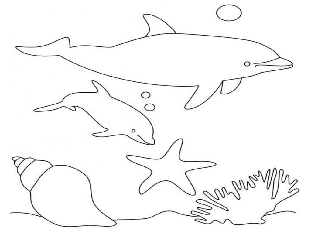 Simple Dolphins Coloring Page   Free Printable Coloring Pages for Kids