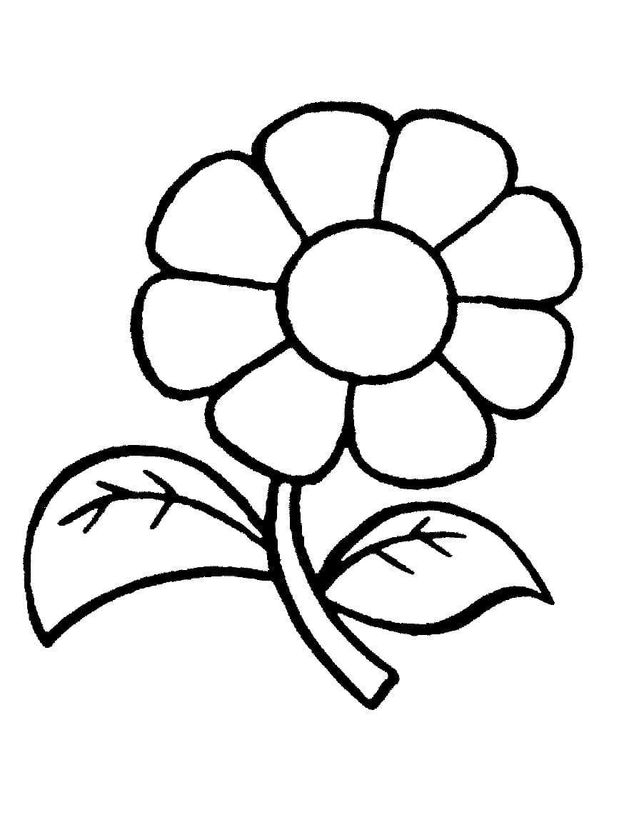 Simple Flower Coloring Pages Free Printable Coloring Pages for Kids