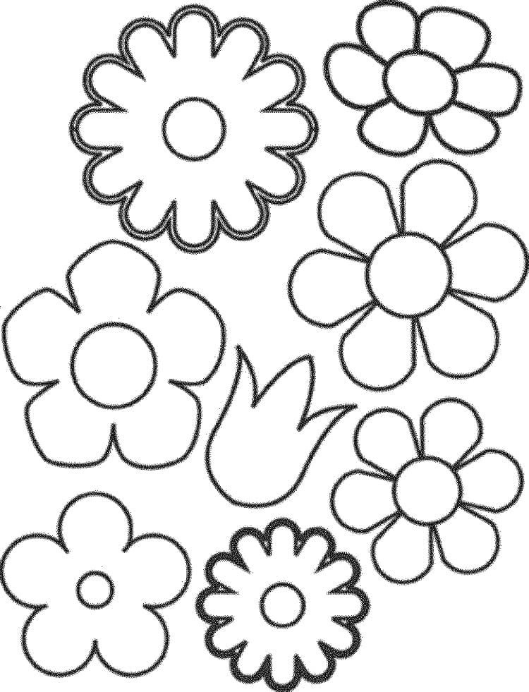 Simple Flower Shapes