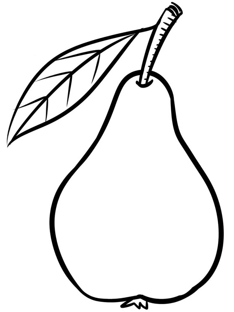 Simple Pear Fruit 3