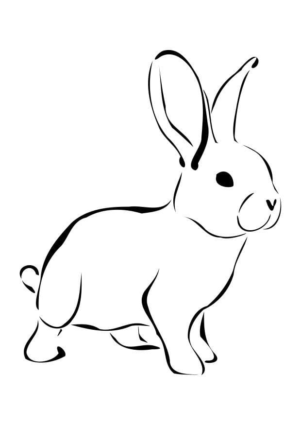Simple Printable Rabbit Coloring Page - Free Printable Coloring Pages For  Kids