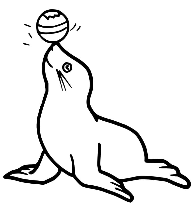 Adorable Sea Lion Coloring Page - Free Printable Coloring Pages for Kids