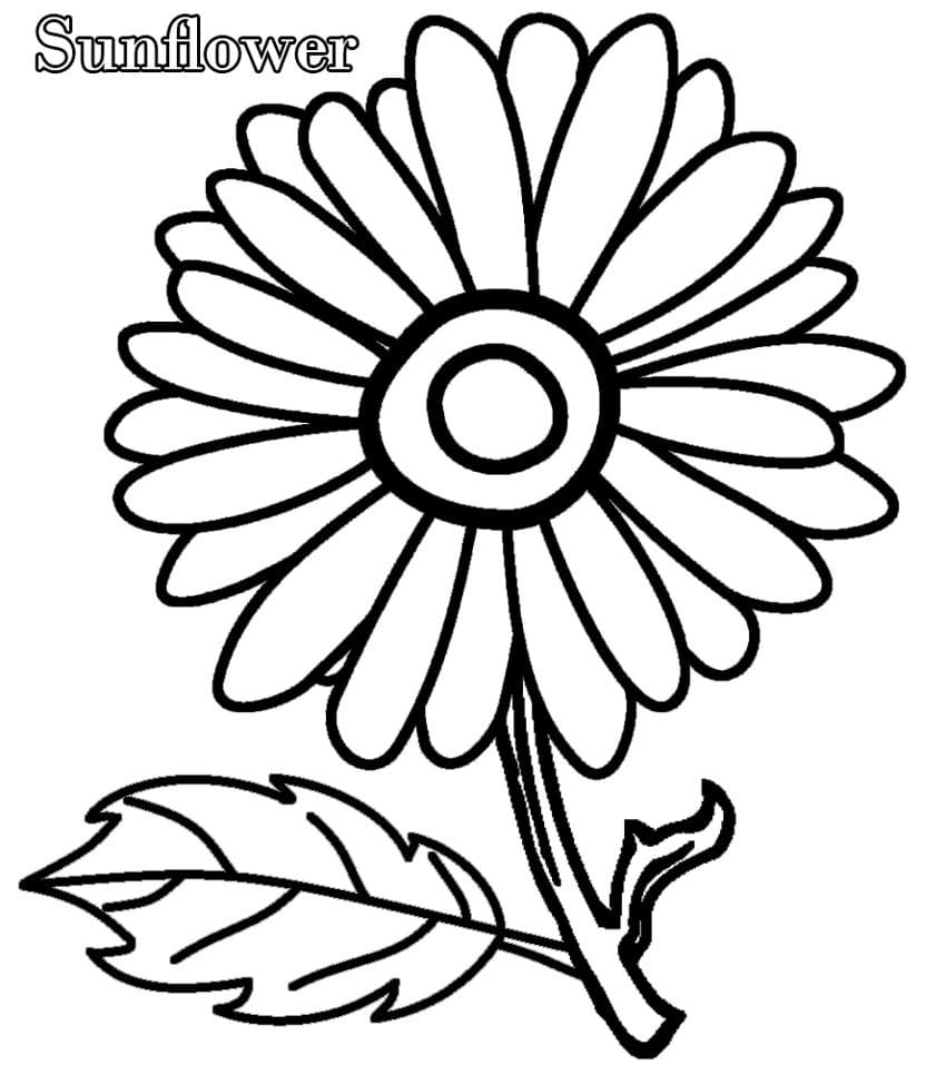 Simple Sunflower Coloring Page   Free Printable Coloring Pages for ...
