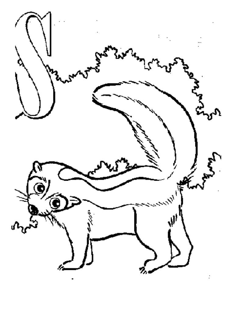 Skunk 20 Coloring Page   Free Printable Coloring Pages for Kids
