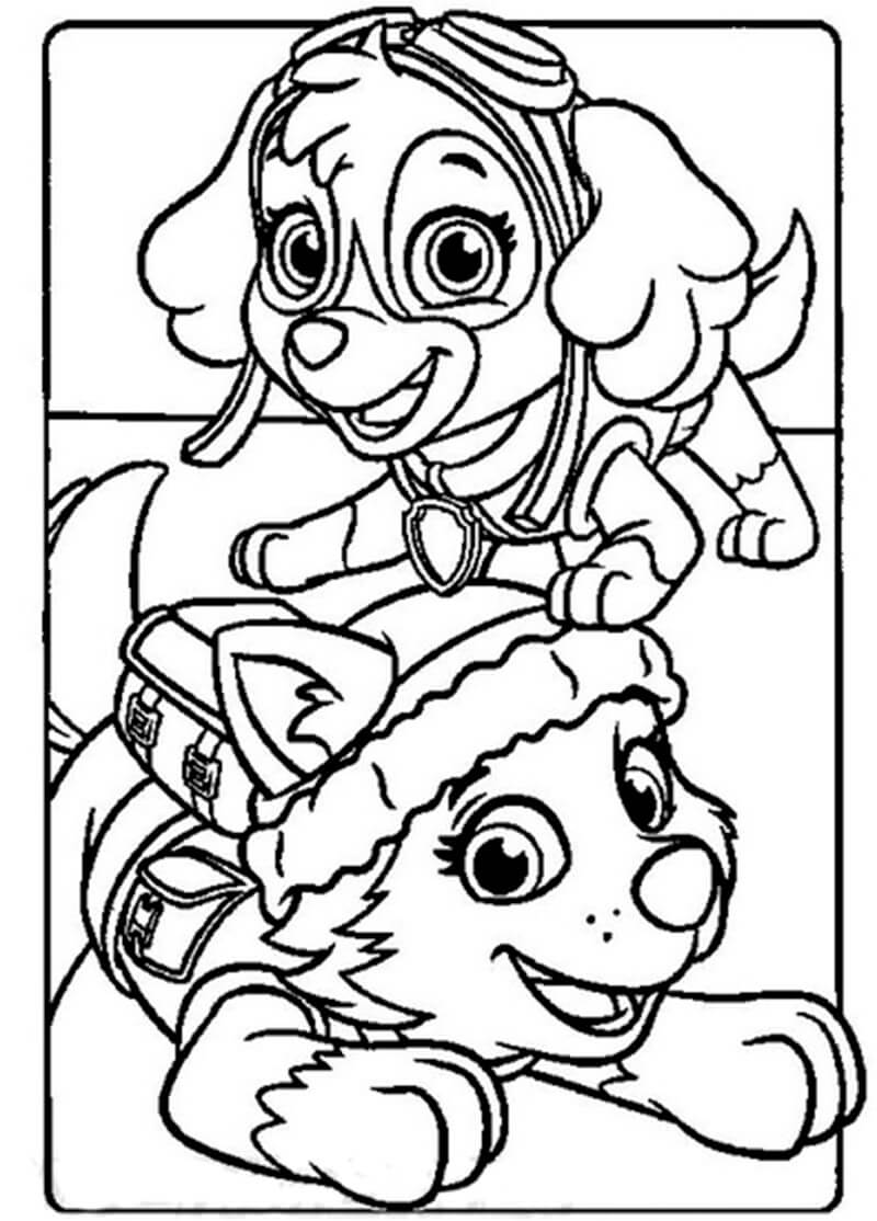 Skye Paw Patrol 26 Coloring Page - Free Printable Coloring Pages for Kids