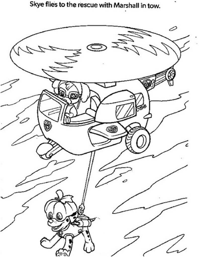 Skye Paw Patrol 9 Coloring Page Free Printable Coloring Pages for Kids