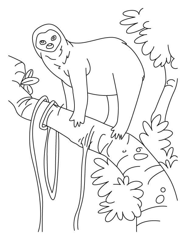 Funny Sloth Coloring Page - Free Printable Coloring Pages for Kids