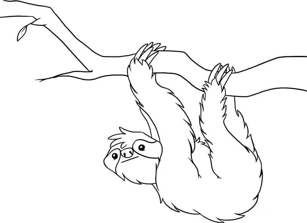 Download Sloth Coloring Page Free Printable Coloring Pages For Kids