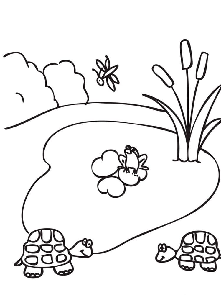 Small Lake Coloring Page - Free Printable Coloring Pages for Kids