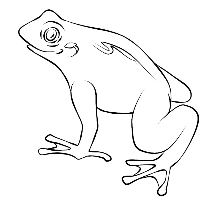 Smile Toad