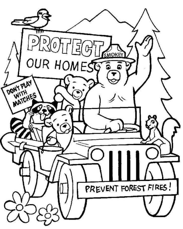 970 Collections Smokey Bear Coloring Pages  Latest Free