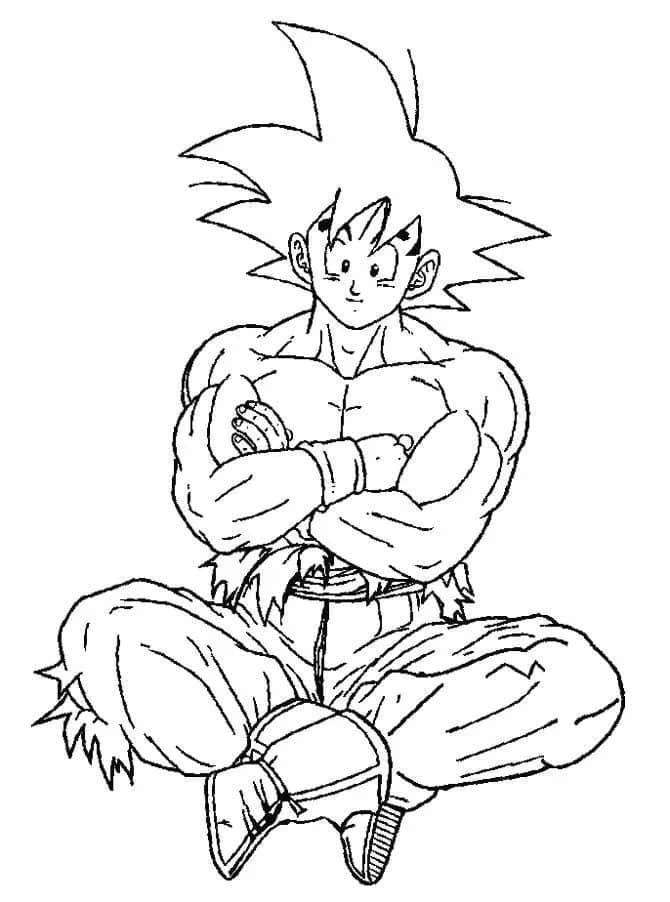 Son Goku Sitting