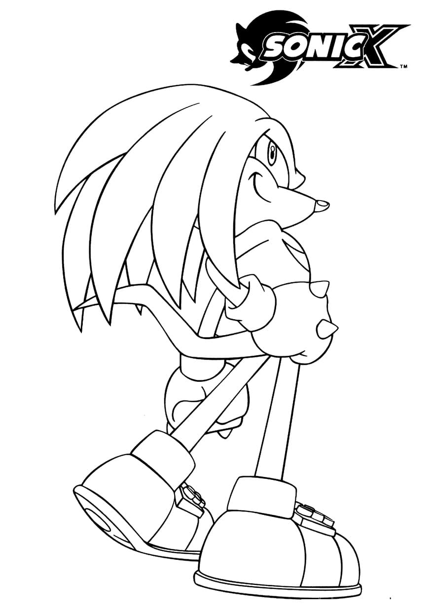 Sonic X Knuckles The Echidna