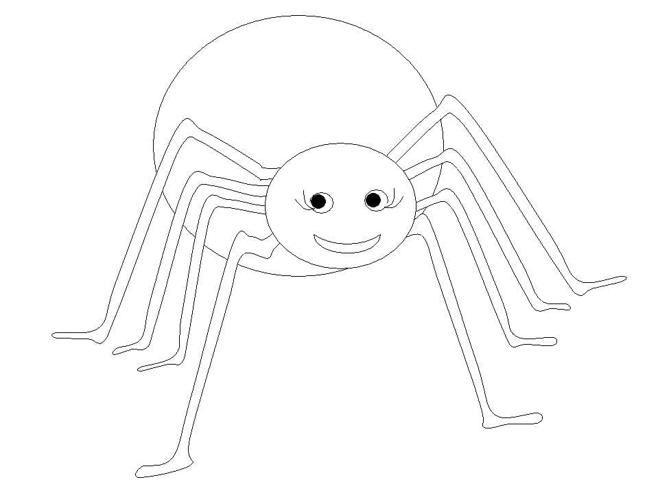 Spider 7