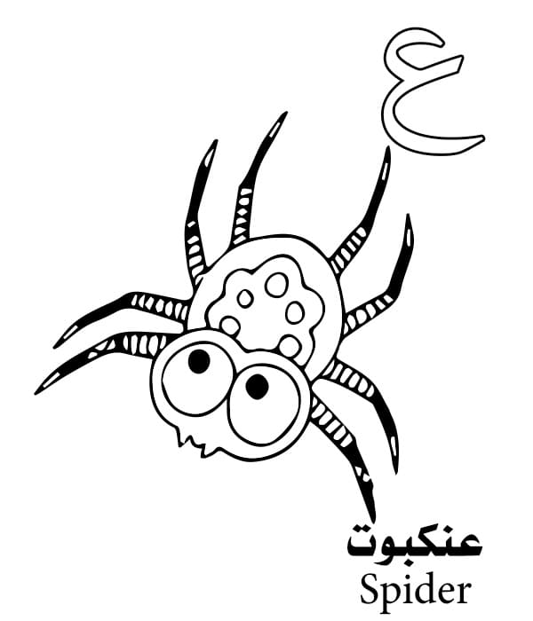 Spider Arabic Alphabet