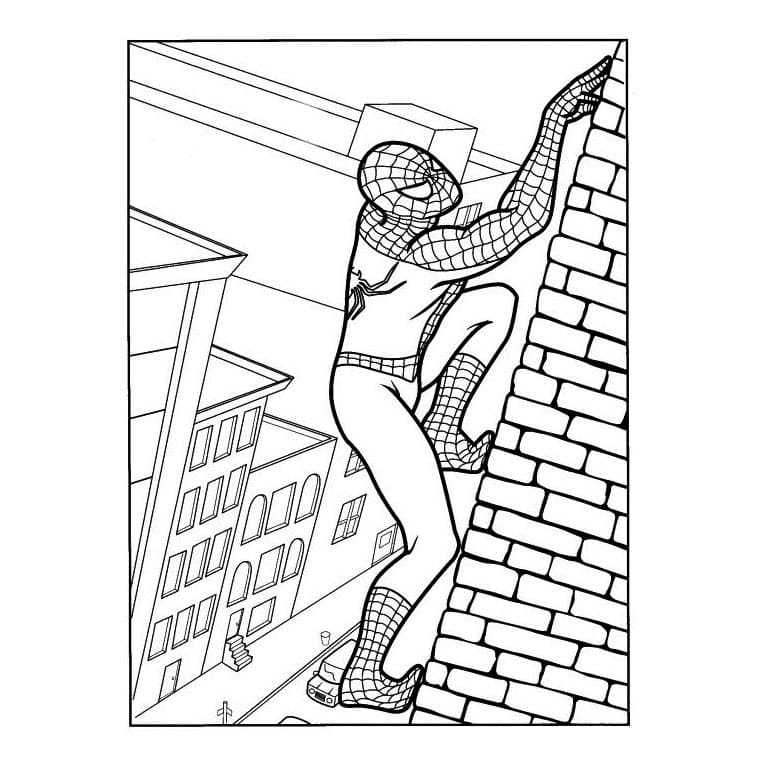 Spiderman on Wall
