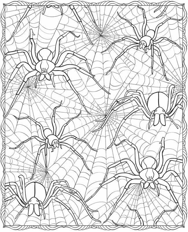 spiders-coloring-page-free-printable-coloring-pages-for-kids