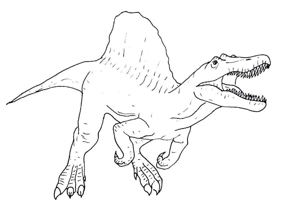 Spinosaurus 9
