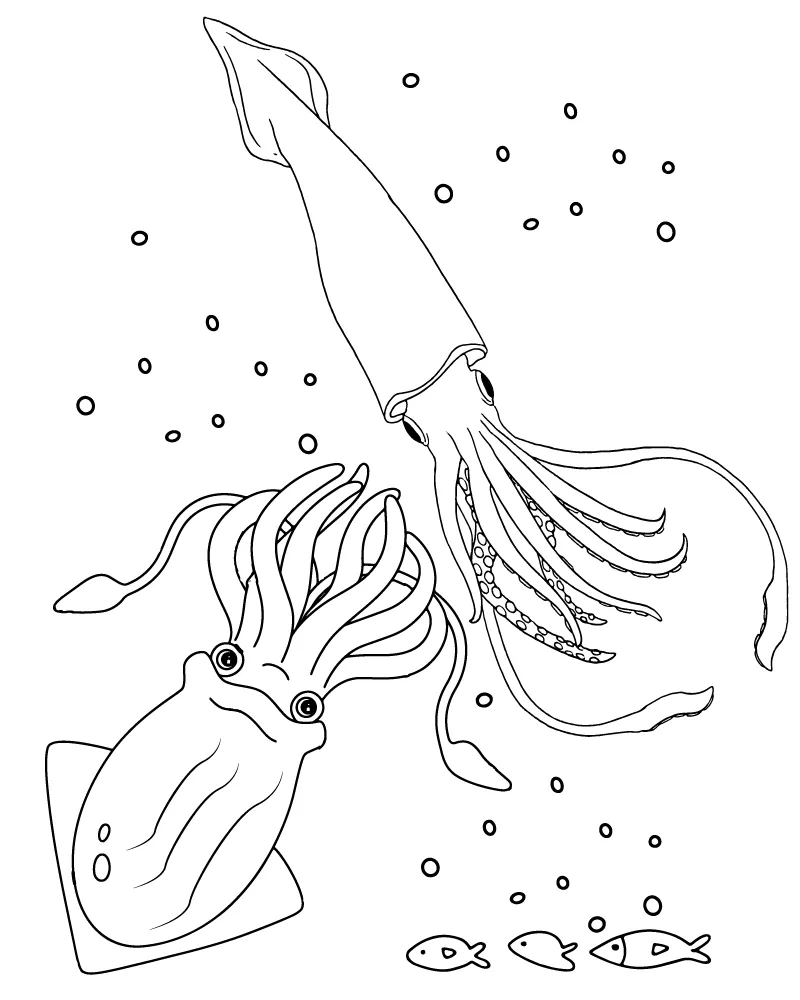 Ausmalbilder Tintenfisch