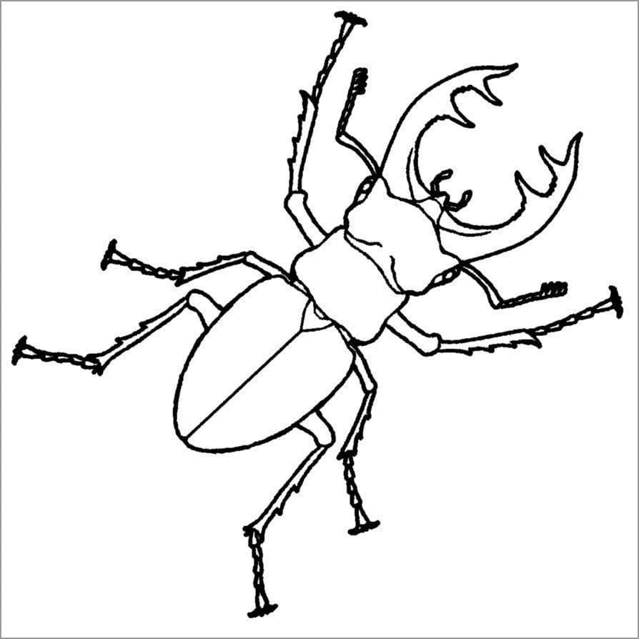 Stag Beetle Printable