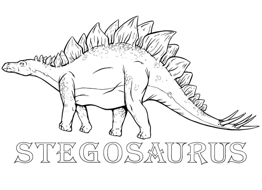 Stegosaurus 6 Coloring Page - Free Printable Coloring Pages for Kids