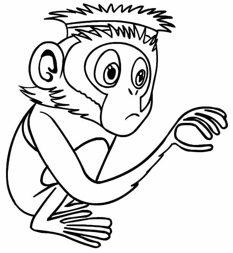 Steve the Monkey