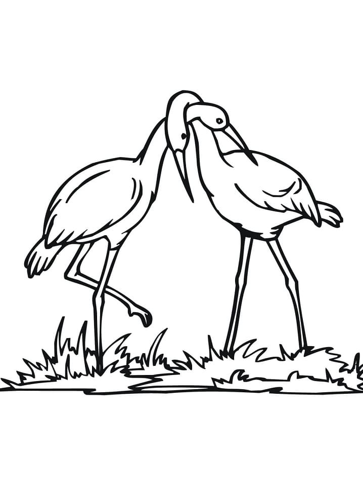 Stork Couple