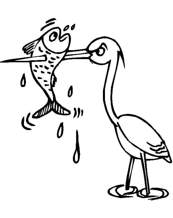 Stork and Fish