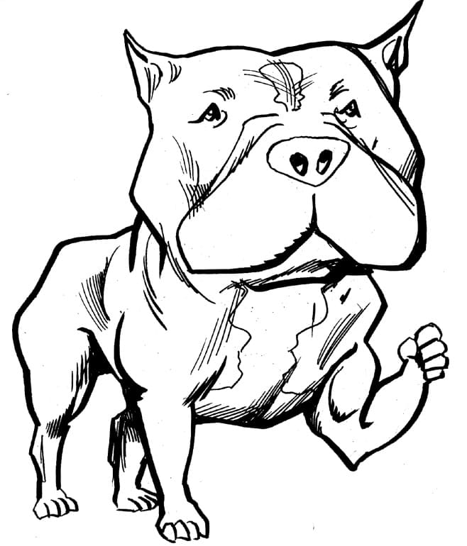Baby Pitbull Coloring Page - Free Printable Coloring Pages for Kids