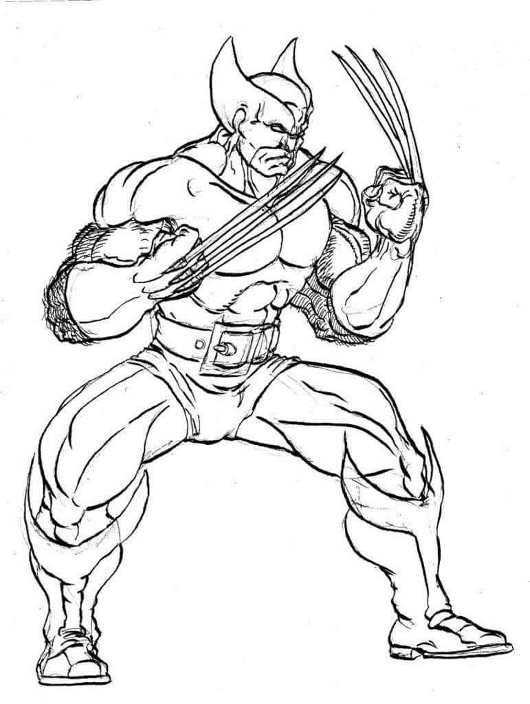 Strong Wolverine Coloring Page   Free Printable Coloring Pages for ...