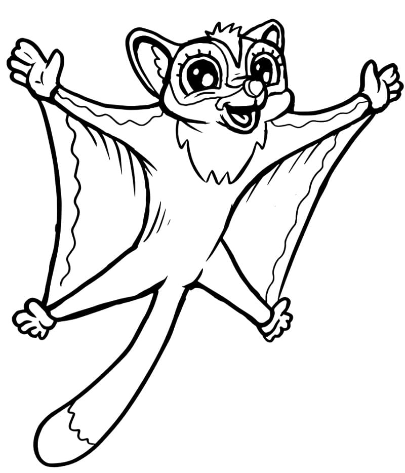 Sugar Glider 7 Coloring Page - Free Printable Coloring Pages for Kids