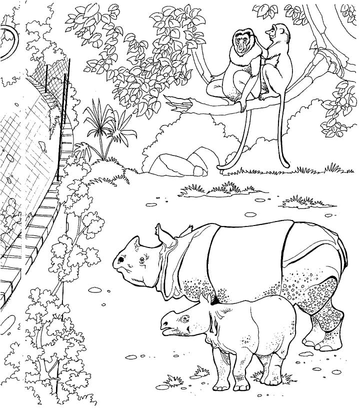 Javan Rhino Coloring Page - Free Printable Coloring Pages for Kids