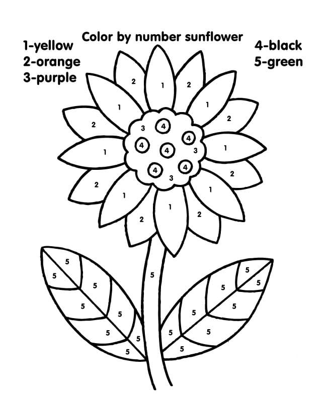Sunflower Color By Number