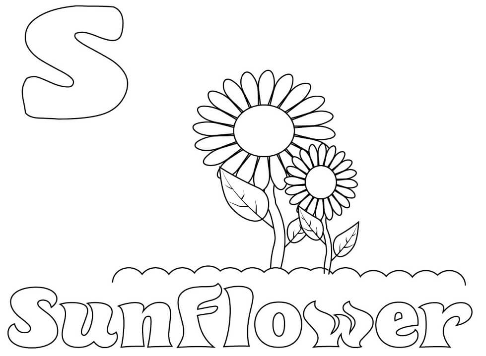 Sunflower Letter S