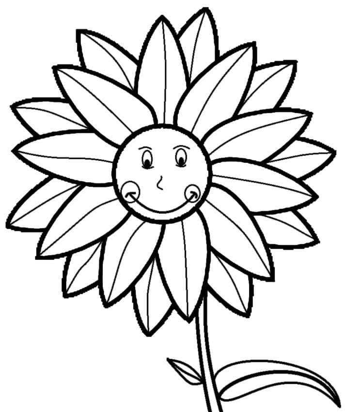 Sunflower Smiling