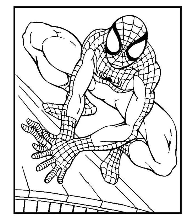 Super Hero Spiderman