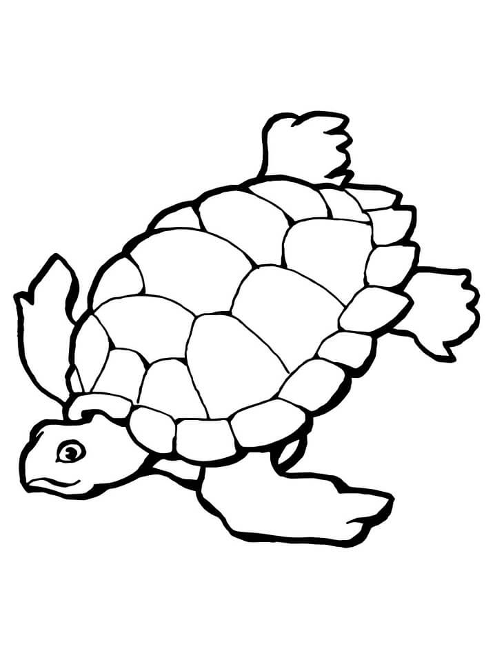 swimming sea turtle coloring page  free printable coloring