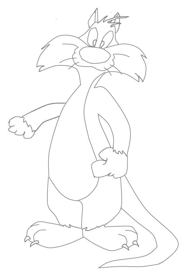 Sylvester to Color