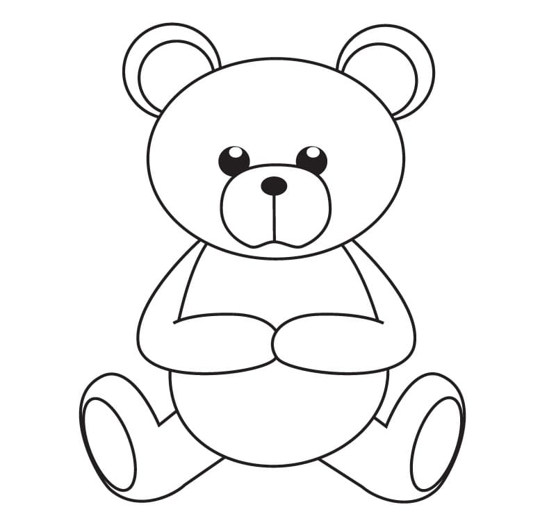 Teddy Bear for Kid