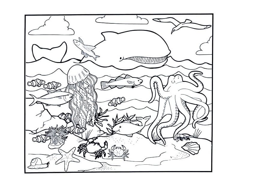 the ocean coloring page free printable coloring pages for kids