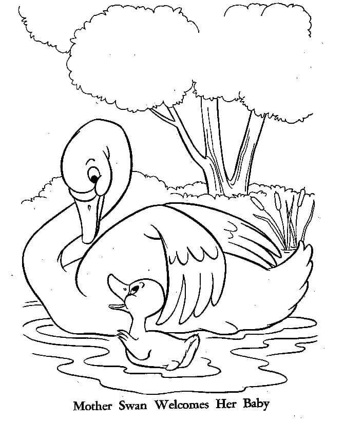 The Ugly Duckling and Mother Swan