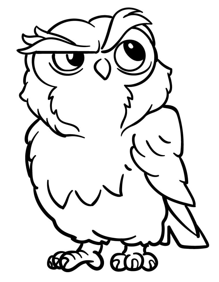Thinking Owl
