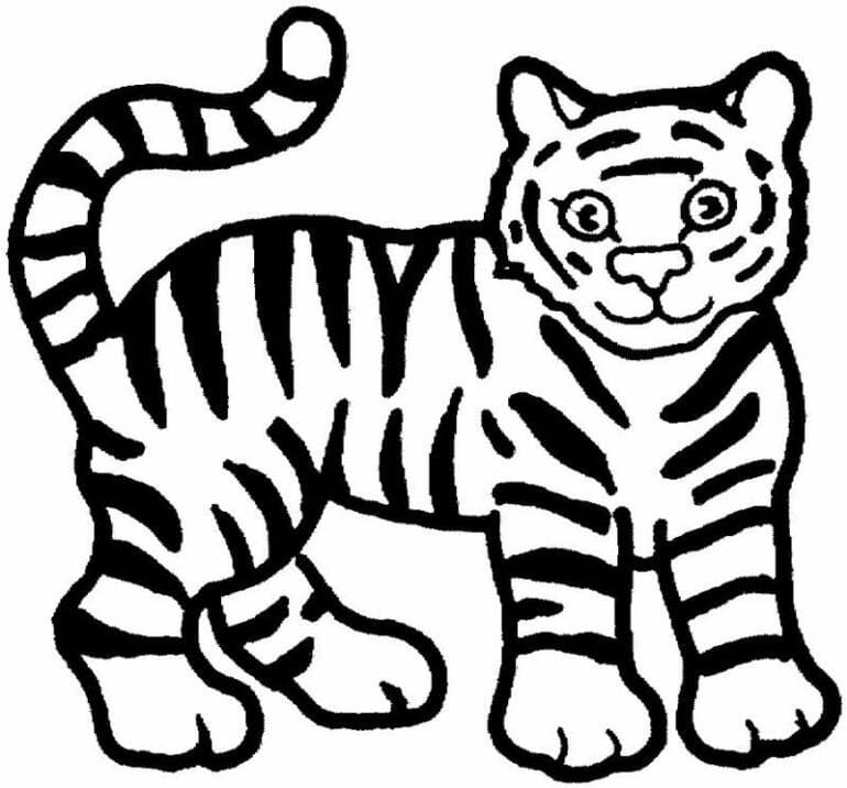 Tiger Printable